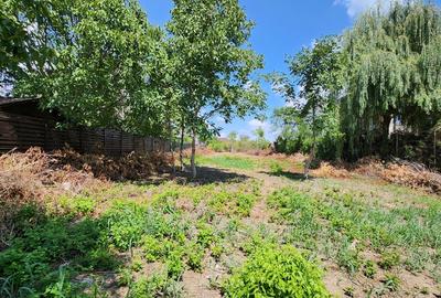 Magurele-Piscina Magurele,doar 1km primarie,parc,stadion! Magurele-Piscina Magurele,doar 1km primarie,parc,stadion! - 8