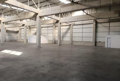 Spațiu industrial, de 700 mp, în Zona Industrială - 3