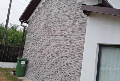 Casă cu 3 camere în Sânmihaiu de Câmpie - 1