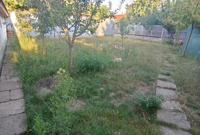 Proprietar,Vand Casa la Chisoda,2012,Str Asfalt,Teren 360 mp,4 Camere,S util120 mp,Toate Utilitatile Proprietar,Vand Casa la Chisoda,2012,Str Asfalt,Teren 360 mp,4 Camere,S util120 mp,Toate Utilitatile - 19