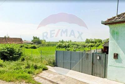 Teren de 5018 mp, în Variașu Mare - 3