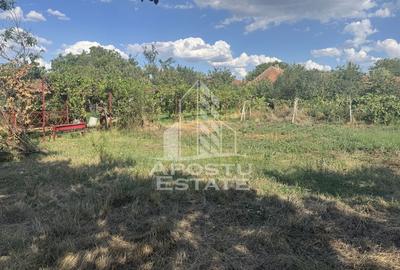 Casă cu 3 camere cu Canalizare în Bucovăț (Remetea Mare) - 4