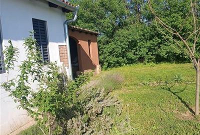 Casa noua in Vaida - 3
