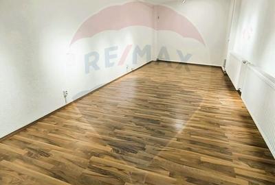 Vila individuala de inchiriat in Bucuresti, Eminescu-Vasile Lascar - 8