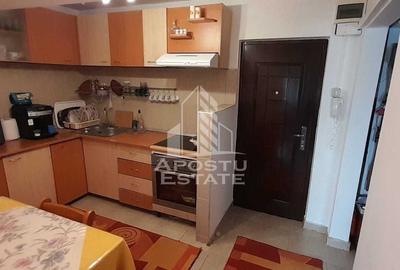 Apartament cu 2 camere decomandat, mobilat în Iosefin - 3