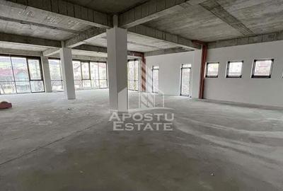 Spatiu comercial 340 mp utili, SAD, etaj1, parcari, Torontalului. - 2