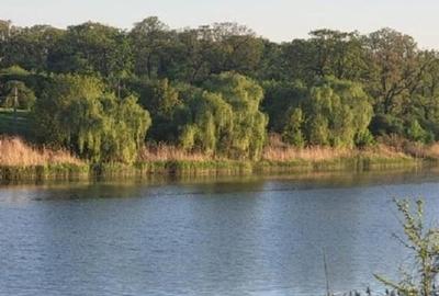 Teren 520mp, pe str. "Trei Lacuri", 90E/mp - 10