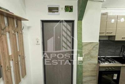 Apartament cu 2 camere decomandat, mobilat în Freidorf - 7