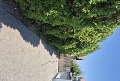 Casă cu 8 camere cu Teren 800 Mp în Central - 1