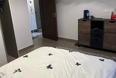 Apartament cu 2 camere decomandat, mobilat în Colentina - 11