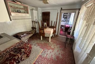 Casa cu teren 1394 mp zona Mehala - 21