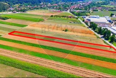 Teren agricol extravilan de 7000 mp, în Teliu - 11