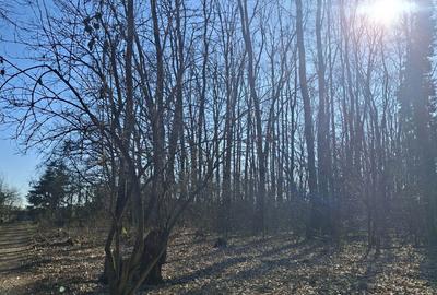 Teren de 2000 mp, în Petrești - 2