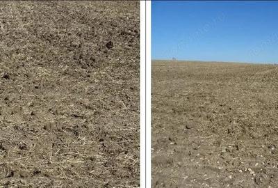 Teren de 5000 mp, în Valu lui Traian