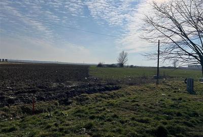 Teren Construcții intravilan de 5985 mp, în Nojorid - 6