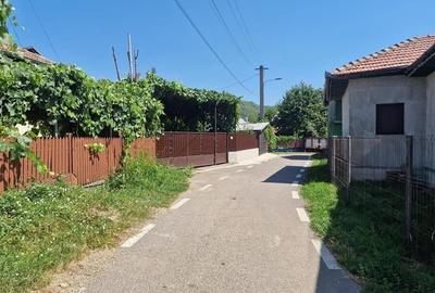 Casa traditionala, cu 2.000mp teren roditor, Izvoarele Casa traditionala, cu 2.000mp teren roditor, Izvoarele - 5