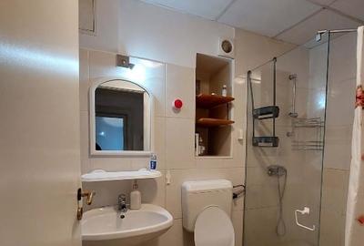 Apartament 1 camera in Complexul Studentesc - 2