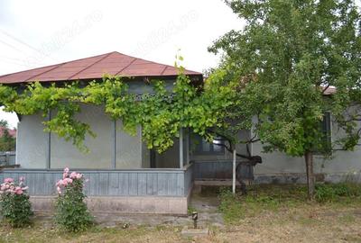 Casă cu 5 camere cu Teren 1447 Mp în Surdila-Greci - 8