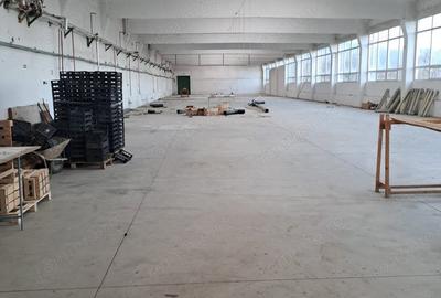 Spațiu comercial, de 5,500 mp, în Someș-Odorhei - 4