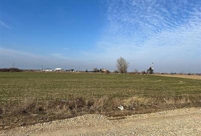 Teren Construcții intravilan de 5985 mp, în Nojorid - 15