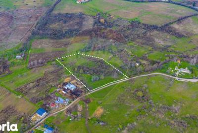 Teren de 33500 mp, în Bucov