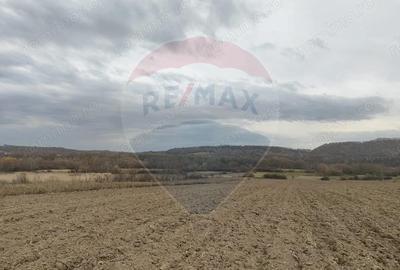 Teren de 11900 mp, în Fârdea - 3