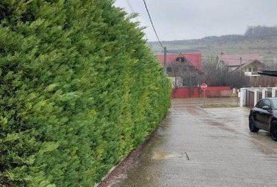 Teren de 800 mp, în Bucium - 8
