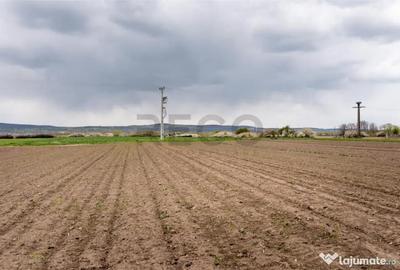Teren de 5663 mp, în Oșorhei - 3