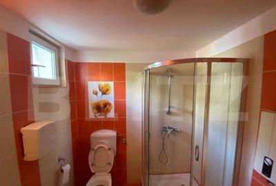 Spatiu comercial, 58 mp, zona Rovine - 7