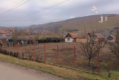 Teren de 1500 mp, în Chețani - 2