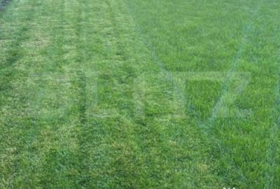 Casă cu 5 camere cu Teren 500 Mp în Central - 1