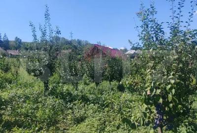 Casă cu 1 camere cu Teren 3000 Mp în Central - 7