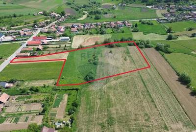Teren de 15360 mp, în Blăjel - 3