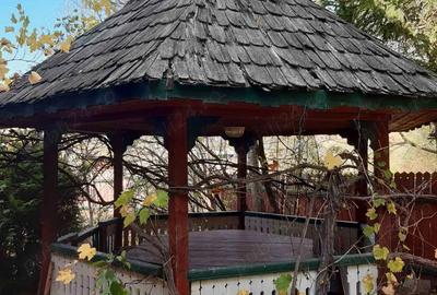 Cabana - Locuinta de vacanta langa Piatra Neamt - 1