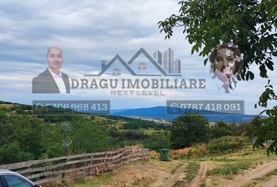 Teren generos 2186 mp cu casă bătrânească – Copăcești, județul Vrancea - 4