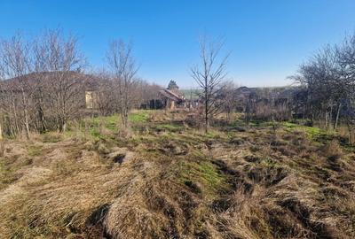 Teren Construcții intravilan de 1528 mp, în Ghercești - 11