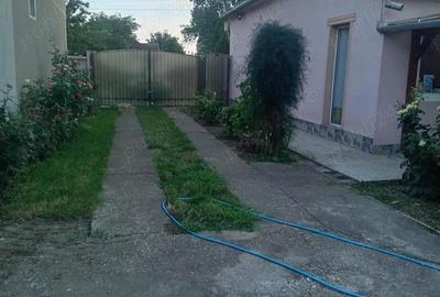 Casă cu 4 camere cu Teren 3264 Mp în Dorobanți - 2
