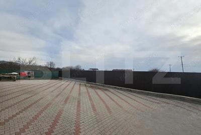 Casă cu Teren 1134 Mp în Sâncrai - 5