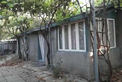 Casă cu Teren 2240 Mp în Scorțaru Nou - 3