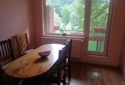 Apartament cu 2 camere decomandat în Ultracentral - 8