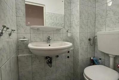 Apartament 3 camere, decomandat, etaj 1, cu 3 boxe si garaj - Baba Dochia - 7