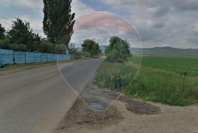 Teren Construcții intravilan de 10000 mp, în Est - 5