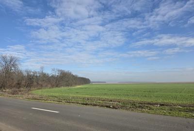 Teren agricol extravilan de 92286 mp, în Fundeni - 3