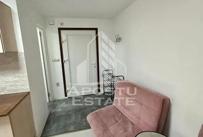 Casă cu 2 camere cu Teren 500 Mp în Lipovei - 2