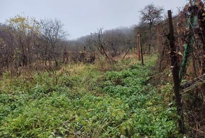 Casa de vânzare compusa din 3 camere, veranda, baie ,cu utilități: apa, canaliza - 4