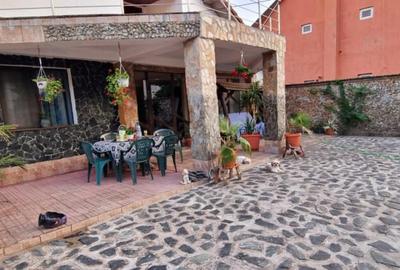 Casa, 170 mp, teren 1400 mp, zona Bariera Valcii - 15