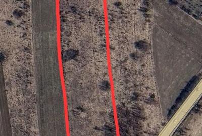 Teren de 15000 mp, în Schitu Duca - 2