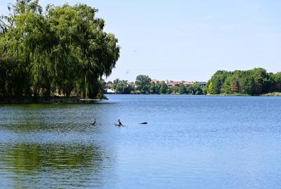 Duplex 6 camerede vanzare in Mogosoaia Str Martha Bibescu 20 acces direct la lac - 7