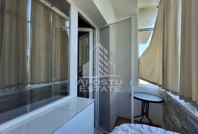 Apartament cu 2 camere semidecomandat în Micălaca - 11