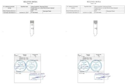 Boxa depozitare | Bloc nou Pitesti, Teilor - 4